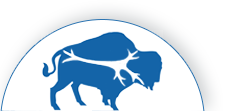 Buffalo Neuropsychology logo